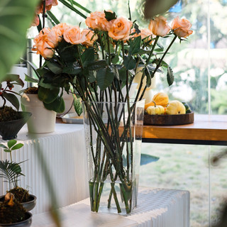 Bình trong suốt mika meka xô me ka cắm hoa trưng bày hoa cao cấp decor bình cắm hoa nhựa Acrylic bền khó vỡ