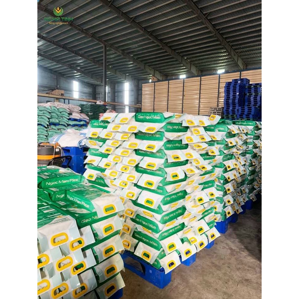 Combo 2 Túi Gạo Ngọc Mầm 5kg -Hút Chân Không - Thơm Dẻo Hà Tĩnh