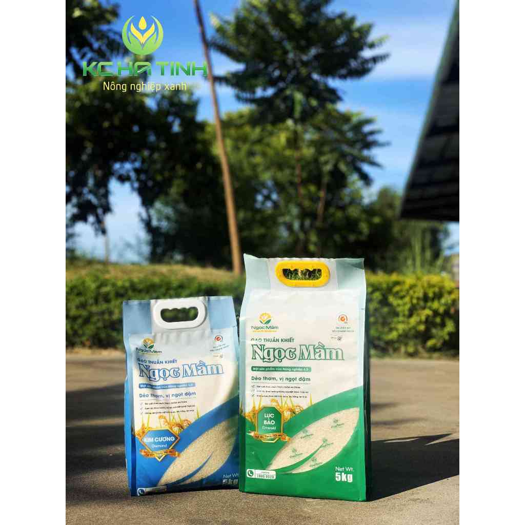 Combo 2 Túi Gạo Ngọc Mầm 5kg -Hút Chân Không - Thơm Dẻo Hà Tĩnh