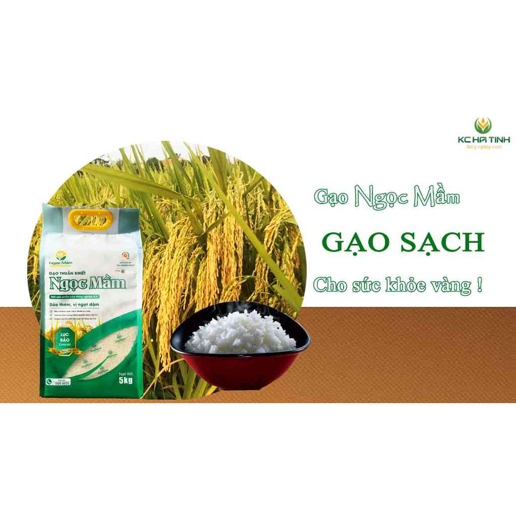 Combo 2 Túi Gạo Ngọc Mầm 5kg -Hút Chân Không - Thơm Dẻo Hà Tĩnh
