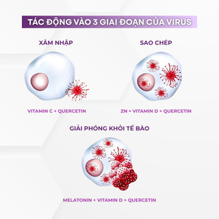 Viên uống IMUNOSIL VIRUFIX – Tăng cường sức đề kháng và hỗ trợ giấc ngủ