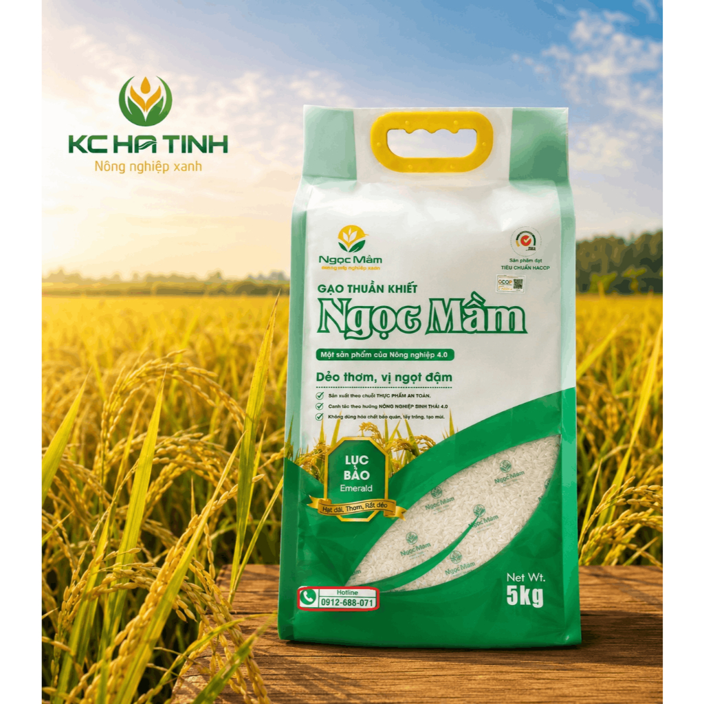 Combo 2 Túi Gạo Ngọc Mầm 5kg -Hút Chân Không - Thơm Dẻo Hà Tĩnh