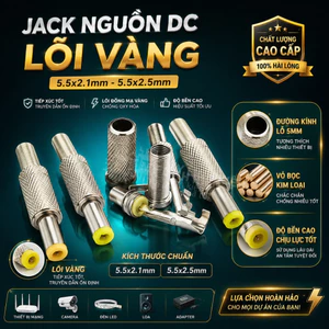 Jack Nguồn DC 5.5x2.5mm & 5.5x2.1mm Lõi Vàng Bộ Chuyển Đổi Đầu Nối Kim Loại
