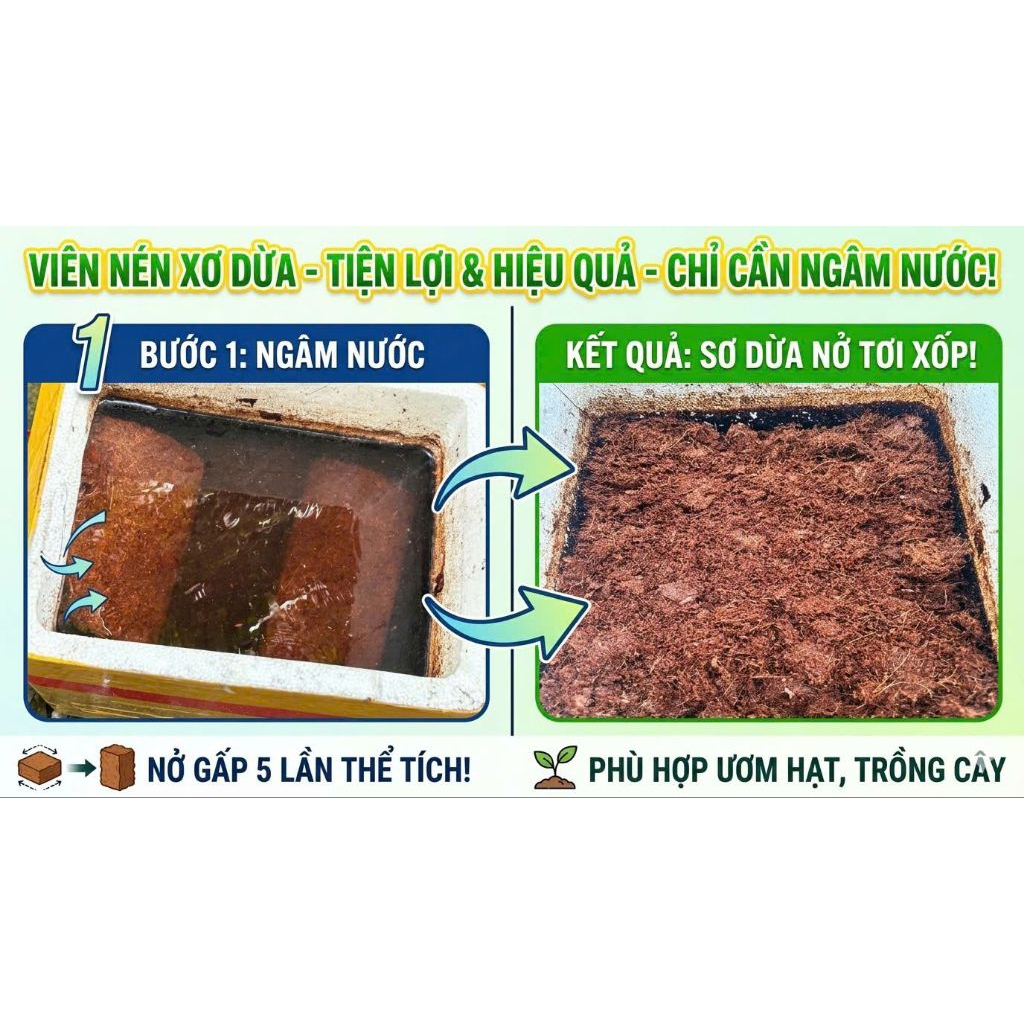 Combo 5 viên nén sơ dừa