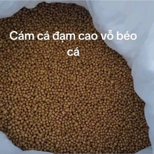 cám viên nổi 2ml ( 1 kg)