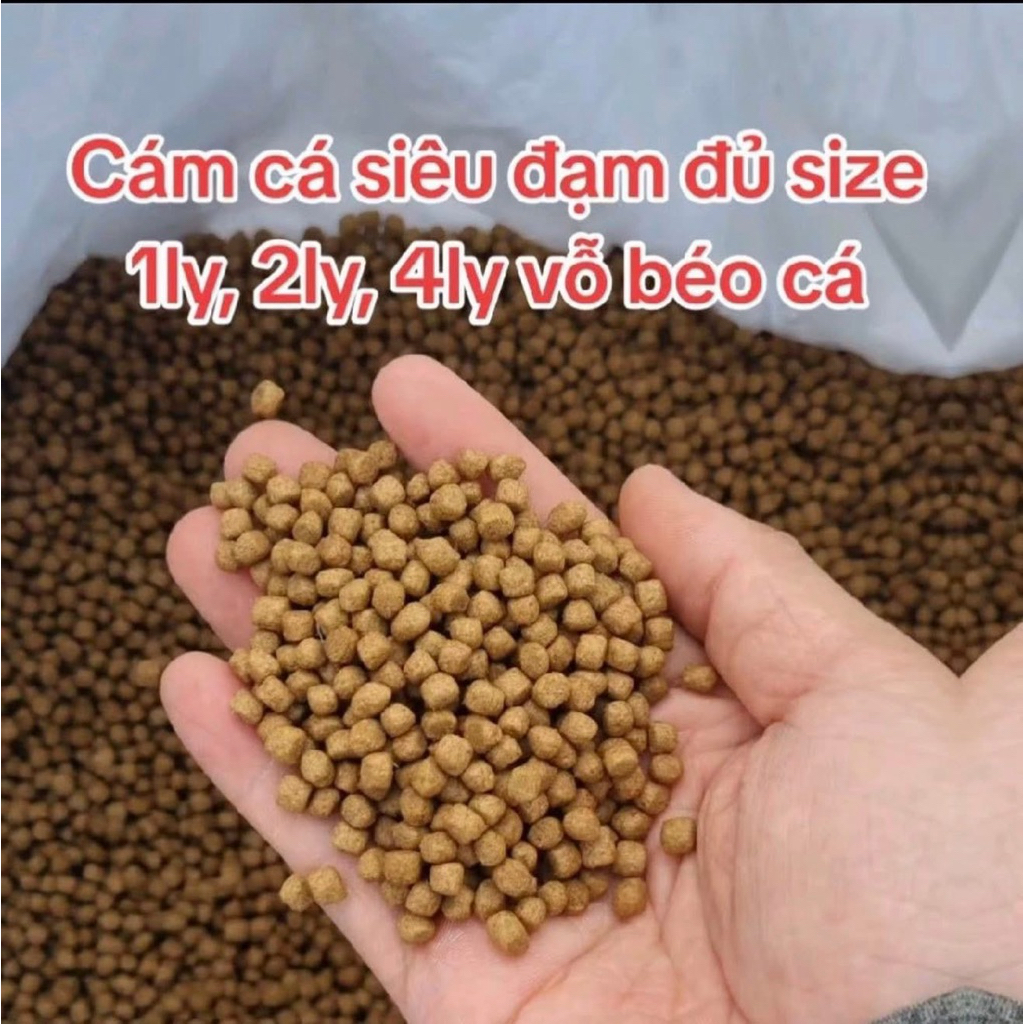 1kg Cám cá viên nổi (hạt 2ml miễn ship) siêu đạm dùng cho cá cảnh
