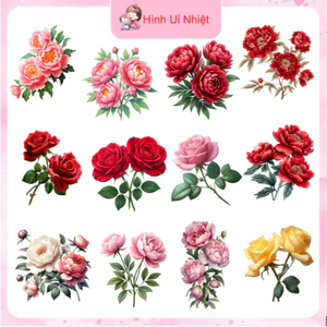 Hình in pét ủi nhiệt,mẫu hoa lá ủi nhiệt quần áo tại nhà bằng bàn là bàn ủi,nhiều mẫu nhiều size