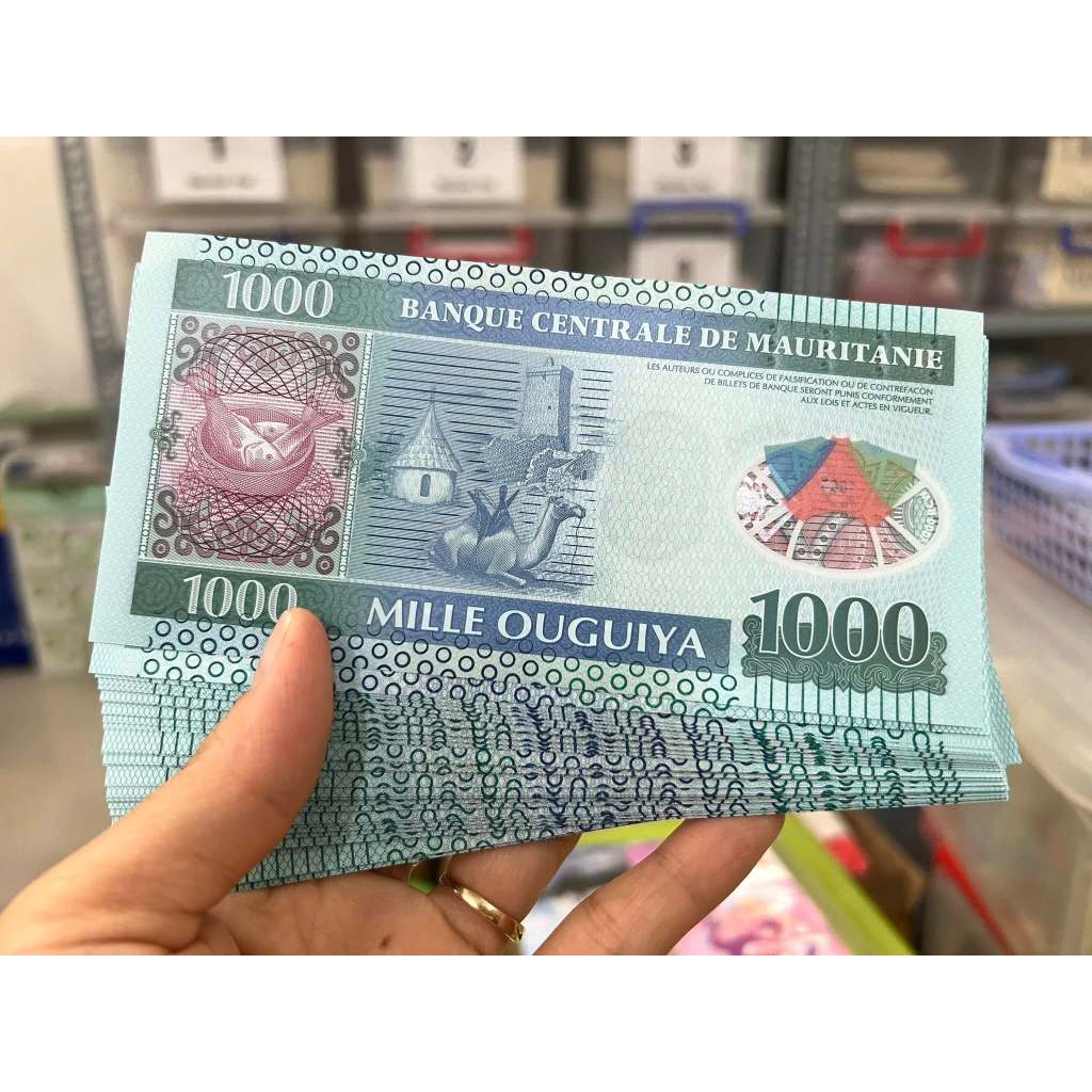 [ 214241] Sưu Tầm/ Kỷ niệm/ Quà tặng 1000 mauritanie 2014 sưu tầm quà tặng mới 100%