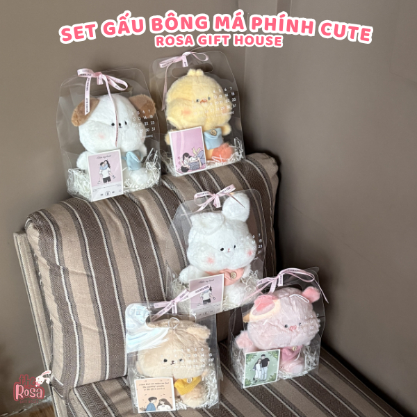 Set Quà Tặng Gấu Bông Má Phính 25cm Túi Trong Suốt – Quà Tặng Đáng Yêu Dành Cho Mọi Dịp Đặc Biệt