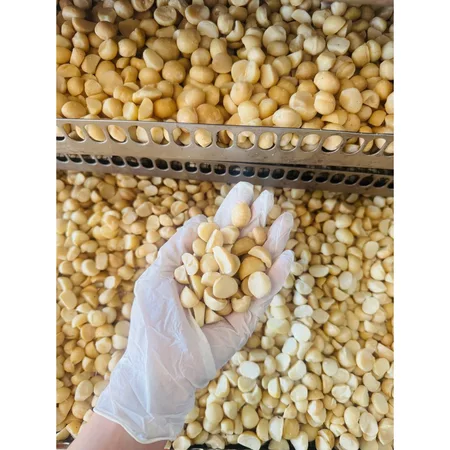 Nhân hạt macca Tây Nguyên sấy khô, hàng bể tiết kiệm làm sữa hạt granola