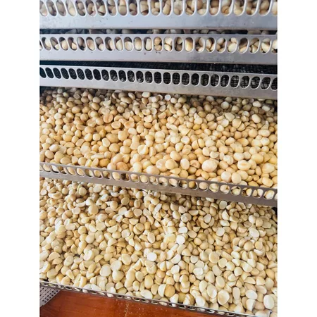 500g Nhân Hạt Macca Tách Vỏ Bể, hàng Việt, Nhân Macca Vỡ Đôi Sấy Chín