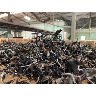 Bạch trà mẫu đơn Cao Bồ - Tây Côn Lĩnh