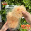 COMBO 1KG BÁNH TRÁNG BÒ TẮC CHUA CAY Ăn Vặt Koc Koc, Siêu Bò Khô, Chua Cay Mặn Ngọt Đậm Đà Cực Cuốn