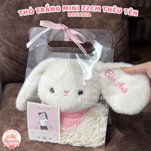 Set Quà Tặng Thỏ Mini 22cm Thêu Tên Theo Yêu Cầu – Quà Sinh Nhật, Kỷ Niệm Dễ Thương Và Ý Nghĩa