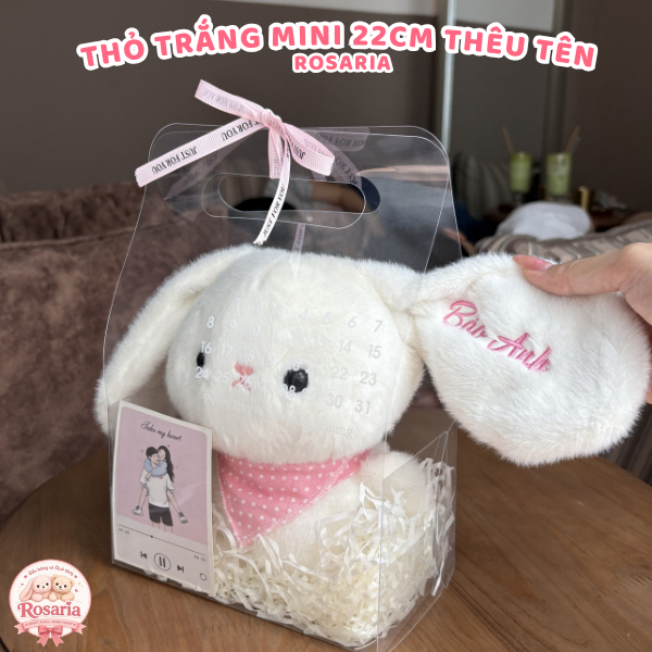 Set Quà Tặng Thỏ Mini 22cm Thêu Tên Theo Yêu Cầu – Quà Sinh Nhật, Kỷ Niệm Dễ Thương Và Ý Nghĩa