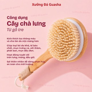 Bàn Chải Tắm Cán Gỗ Tẩy Tế Bào Chết Nhẹ Nhàng Giúp Da Mịn Màng - Bàn Chải Tắm Massage Toàn Thân Thư Giãn