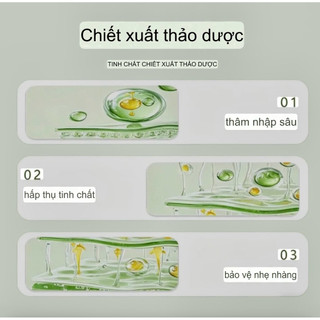 Miếng Dán Đốt Mỡ Siết Eo Giảm Đau Nhức, Vai Cổ Khớp Gối Thải Độc Tố ,Giảm Cân Tinh Dầu Cây Ngải Cứu .Hộp 5 Miếng