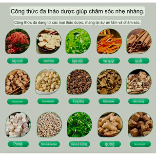 Miếng Dán Đốt Mỡ Siết Eo Giảm Đau Nhức, Vai Cổ Khớp Gối Thải Độc Tố ,Giảm Cân Tinh Dầu Cây Ngải Cứu .Hộp 5 Miếng