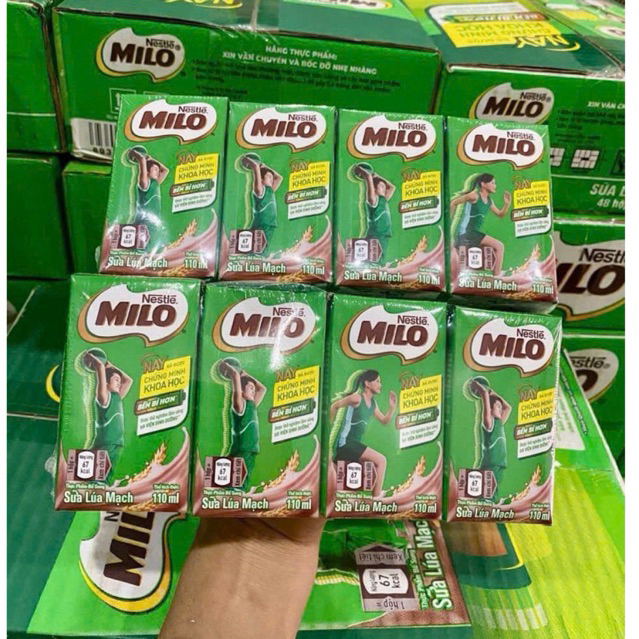 Sữa lúa mạch Nestlé Milo (Dạng hộp pha sẵn)