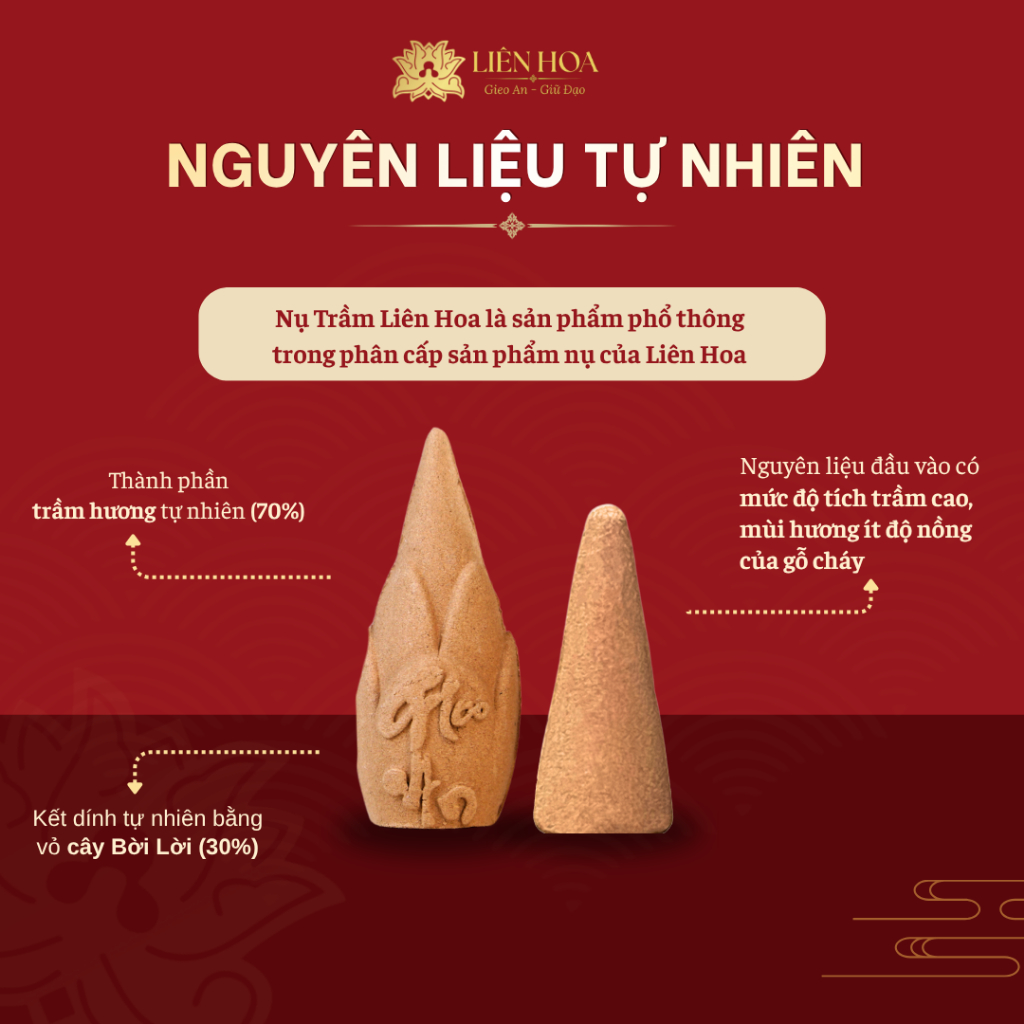 [CHỈ TÍNH PHÍ SHIP]Nụ Trầm Hương TRẢI NGHIỆM (5 nụ/túi) | Trầm Sạch | 100% Tự Nhiên | Tẩy Uế & Thưởng Trầm