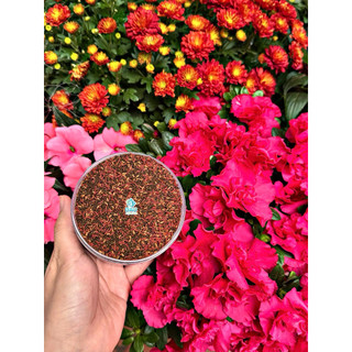 Hikari Mix - Thức ăn kích size, kích màu, hỗ trợ tiêu hóa cho cá