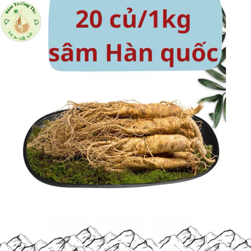20 củ/1kg Sâm Hàn Quốc-Nhân Sâm Tươi dùng ngâm mật ong, hầm gà, ngâm tửu