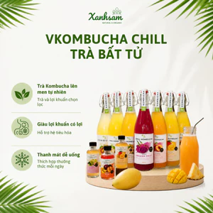 VKombucha Chill Trà Bất Tử Vgreen 250ml/ 500ml - Xanhsam Natural & Organic