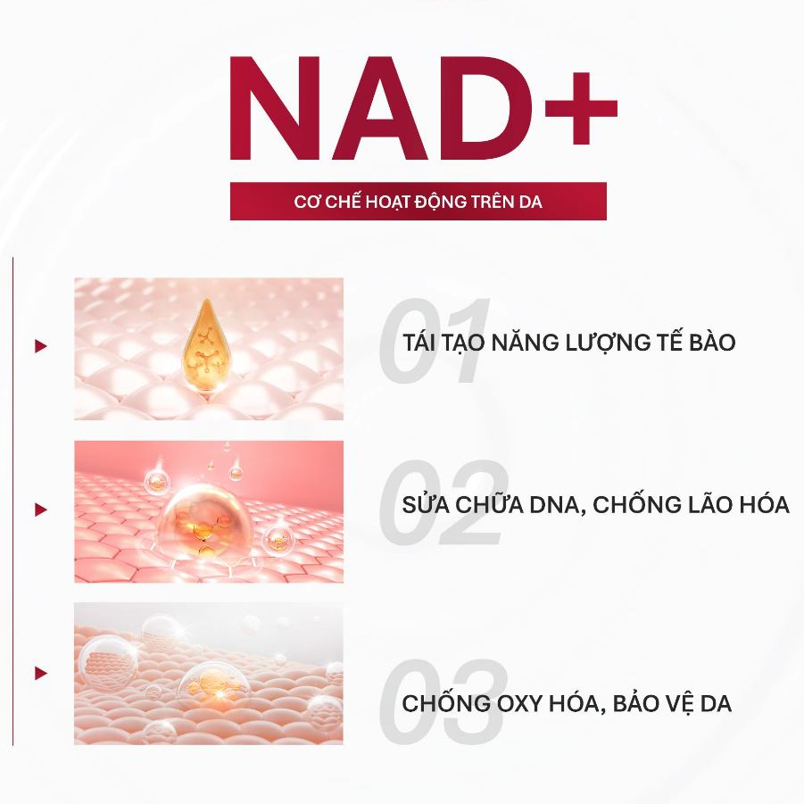 [GIFT] Mặt Nạ Tái Tạo Năng Lượng Tế Bào Eviralab NAD+ Skin Renewal Mask Pretty Skin 1-5 Miếng