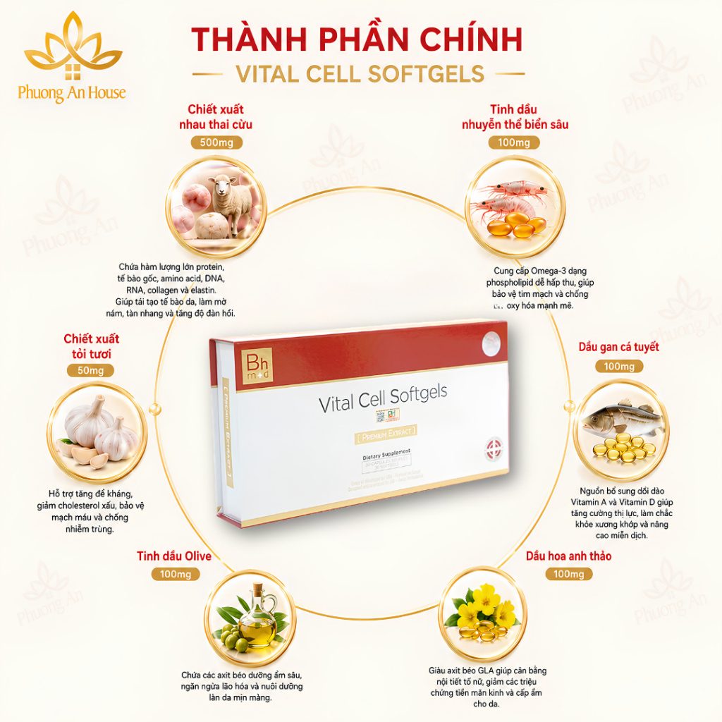 Thực phẩm bảo vệ sức khỏe PE Vital Cell Softgels
