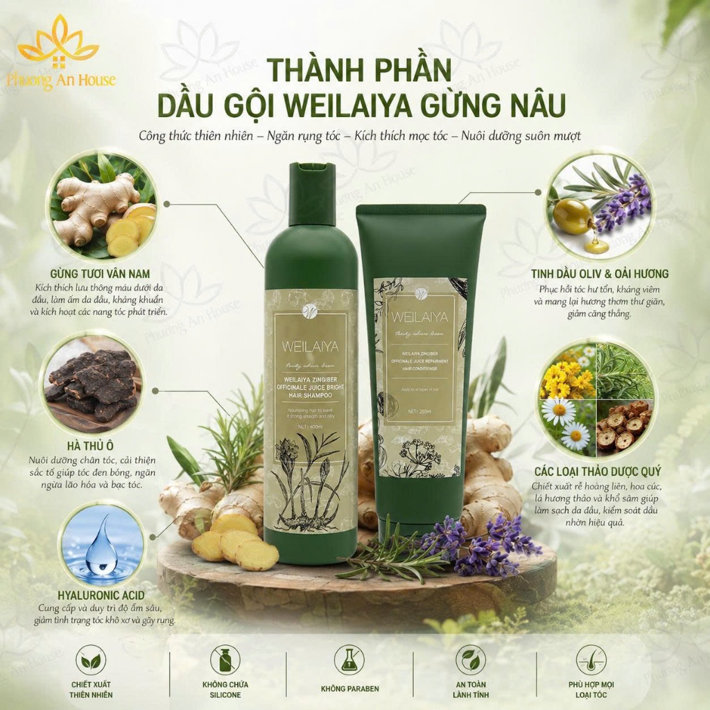 Dầu gội và dầu xả Weilaiya Ginger phục hồi tóc