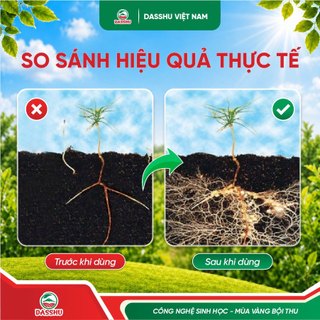 [ MUA 5 TẶNG 2 ] Phân Bón Dasshu Z1000 Chính Hãng Hỗ Trợ Ra Rễ Bung Đọt, Lá Xanh Dày DẹpTăng Năng Suất