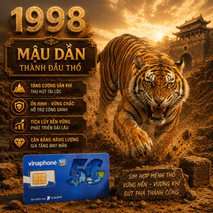Kho Sim Số Đẹp Vina Cho Người Sinh Năm 1998 Mậu Dần Mệnh Thành Đầu Thổ Tăng Nền Tảng Và Tài Lộc