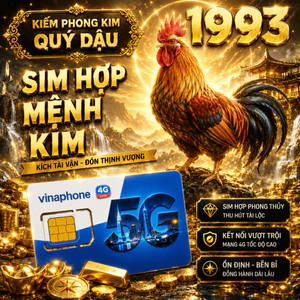 Sim Vinaphone Số Đẹp Hợp Tuổi 1993 Quý Dậu Mệnh Kiếm Phong Kim Giúp Thu Hút Tài Lộc Và Danh Thế