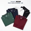 Áo Polo Thể Thao Pickleball BAZIK BION Polyamide V-Neck Thoáng Khí, Nhanh Khô, Thấm Hút Mồ Hôi - A59