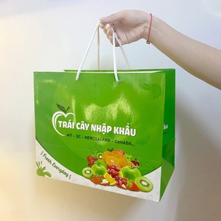 in túi giấy đựng quần áo gá rẻ theo yêu cầu (từ 200c)