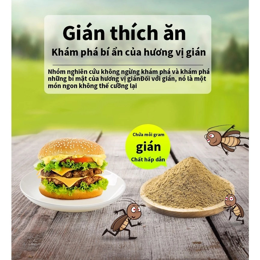 10 gói thuốc diệt gián sinh học bột diệt gián Diệt Tận Gốc An Toàn Hiệu Quả An Toàn Cho Con Người Và Vật Nuôi