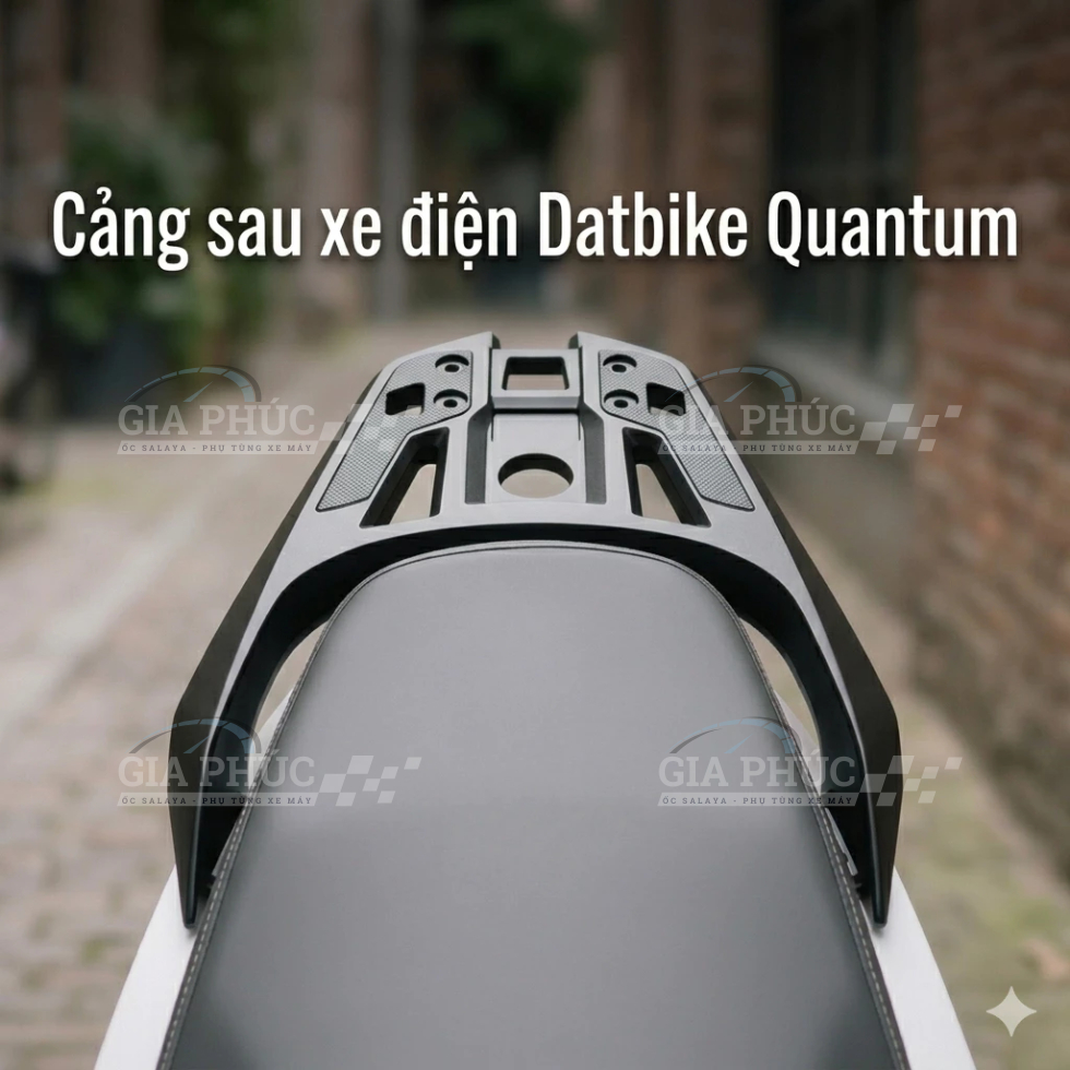 Tay Dắt Cảng Sau Nhựa Đúc Có Đế Gắn Thùng Cho Xe Điện Quantum S1 S2 S3