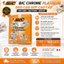 Lưỡi lam Bic chính hãng 100 lưỡi hàng công ty