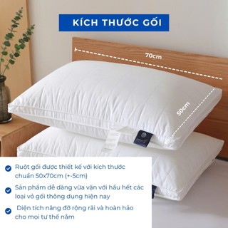 Ruột gối bông dream cao cấp M2T BEDDING mềm mại êm ái thoải mái khi ngủ kích thước 50x70cm