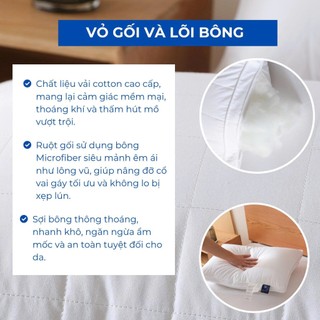 Ruột gối bông dream cao cấp M2T BEDDING mềm mại êm ái thoải mái khi ngủ kích thước 50x70cm