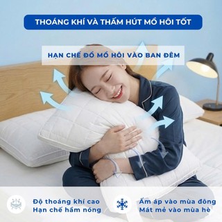 Ruột gối bông dream cao cấp M2T BEDDING mềm mại êm ái thoải mái khi ngủ kích thước 50x70cm
