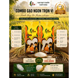 Combo 4Kg Gạo Tây Đô Kim Cương 2Kg Thơm Lài Thái + 2Kg ST25 Lúa Tôm - Gạo Ngon, Thơm Dẻo