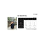 Áo Thun Cổ Trụ Ver 1 𝐂𝐎𝐎𝐋𝐂𝐑𝐄𝐖 100% Cotton 2 Chiều Unisex Menswear Phong Cách Hàn Quốc Năng Động ATN012