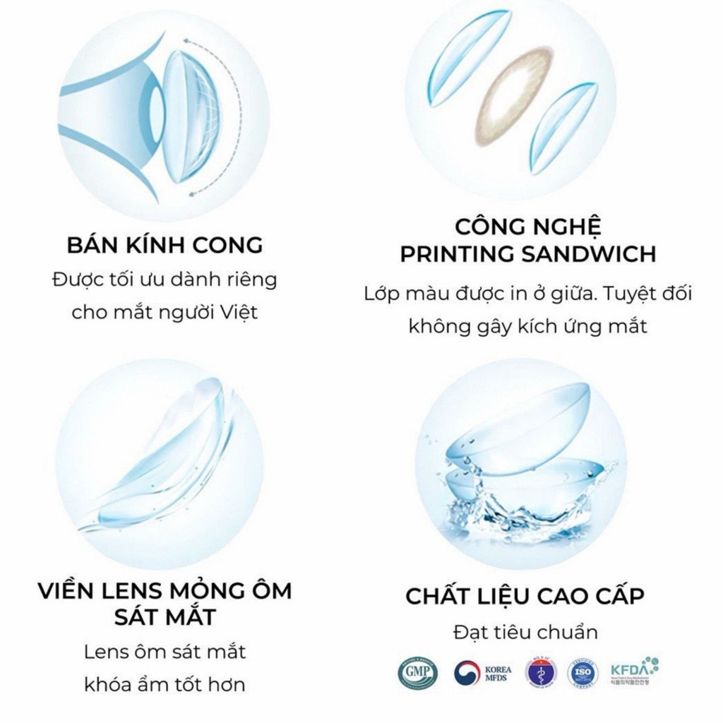 Lens đen giãn tròng Hàn Quốc Elylens mẫu Cicle Black DIA 14.5mm ( Full 0-7 độ )