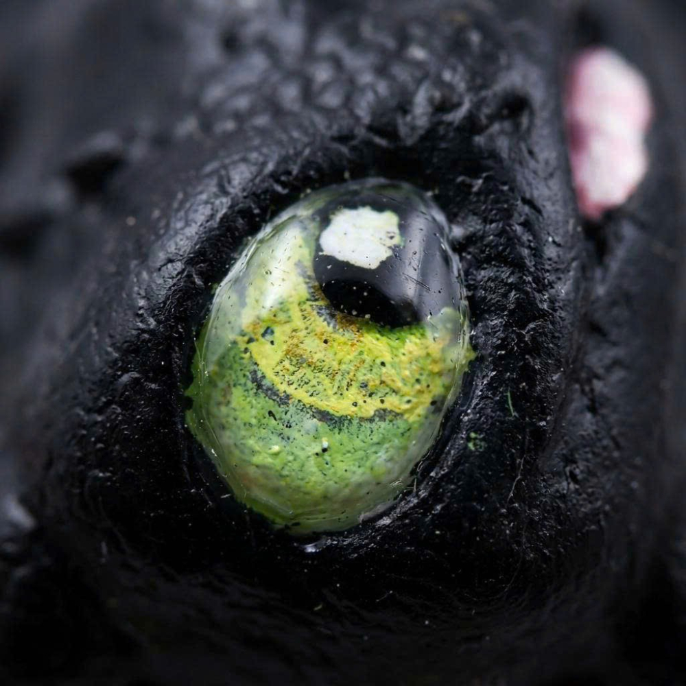 Keycap Lẻ Bàn Phím Cơ Rồng Sún Răng 3D - Artisan Keycap Resin Răng Sún Toothless Cao Cấp 1U