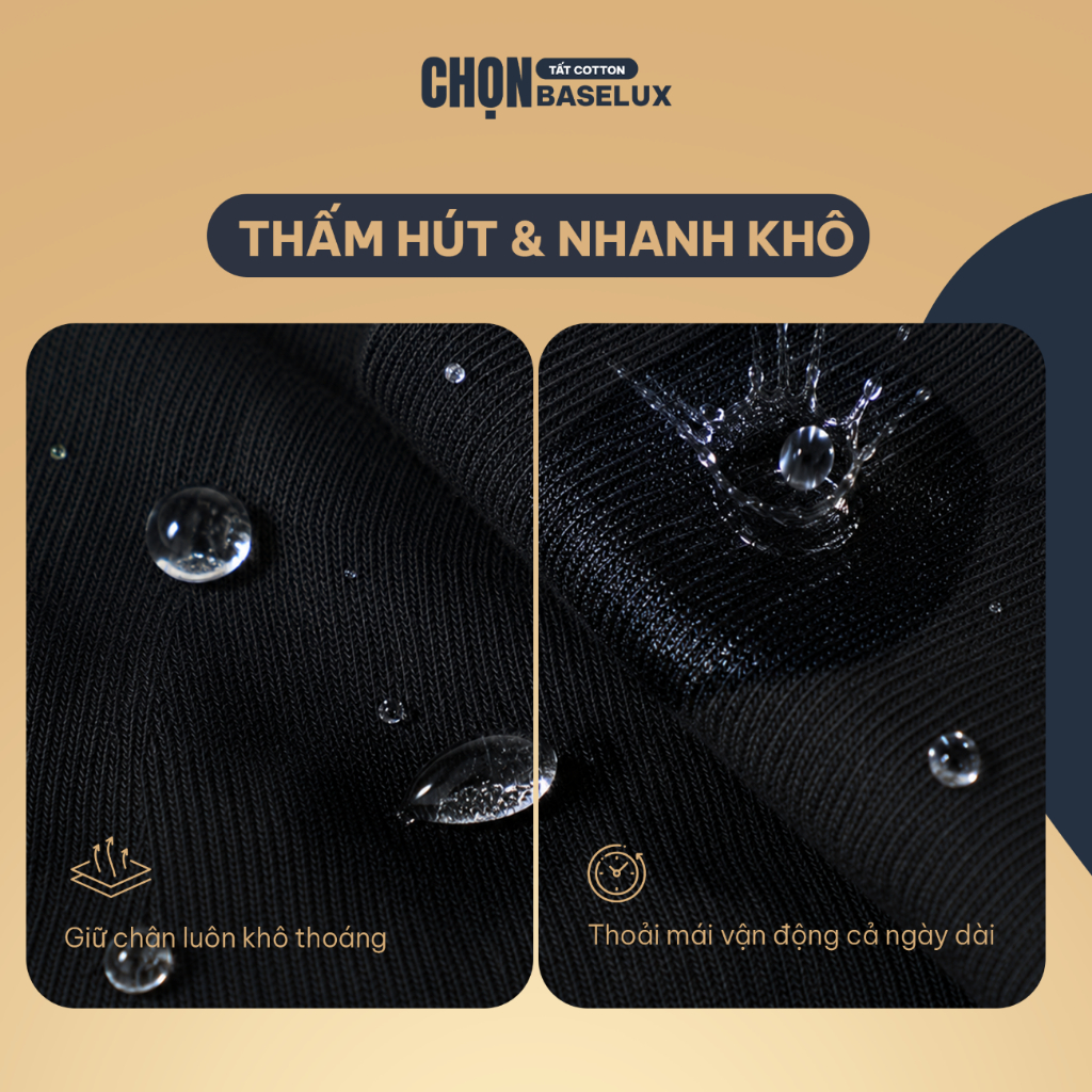 Tất nữ BaseLux tất chân nữ cotton siêu thoáng khí, vớ nữ kiểu dáng trơn dễ phối đồ, vớ chân nữ kháng khuẩn tự nhiên