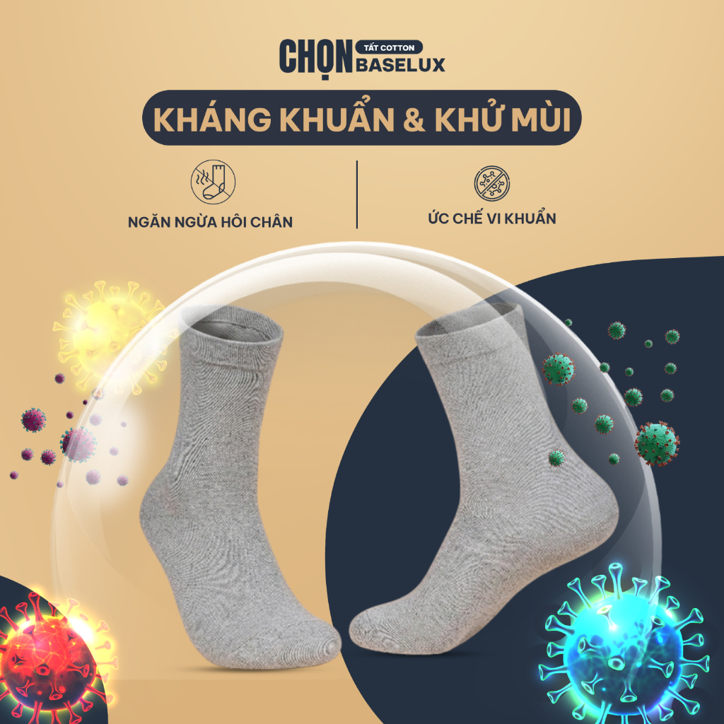 Tất nữ BaseLux tất chân nữ cotton siêu thoáng khí, vớ nữ kiểu dáng trơn dễ phối đồ, vớ chân nữ kháng khuẩn tự nhiên
