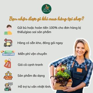 [HÀNG LOẠI 1] 100m Cuộn Dây Kẽm Bọc Nhựa - Buộc Đồ, Cố Định Cành, Thân Cây, Buộc Giàn