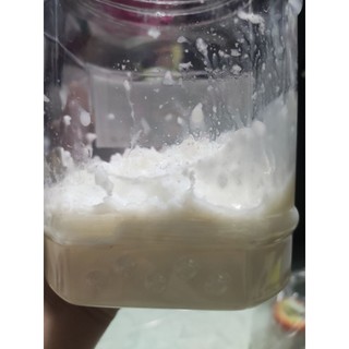 Cơm Mẻ Nhà Nuôi 100% Tự Nhiên 500g – Mẻ Chua Thanh, Nấu Bún Riêu, Giả Cầy, Ốc Om Chuối Đậu