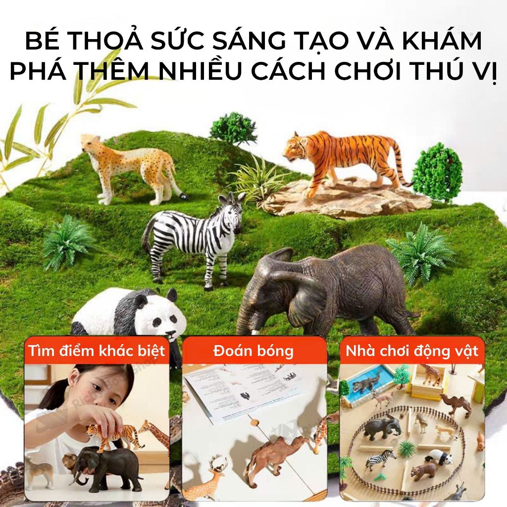 Bộ đồ chơi mô hình 3D các loài động vật cao su cao cấp Mideer Dinosaur - Animal Toys Set có hộp đựng